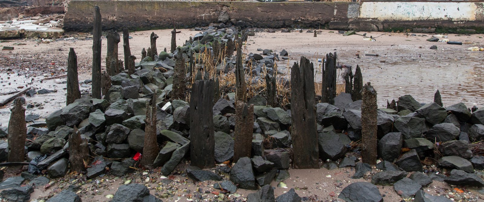 art-of-sandy-mo-staten island 2-85.jpg